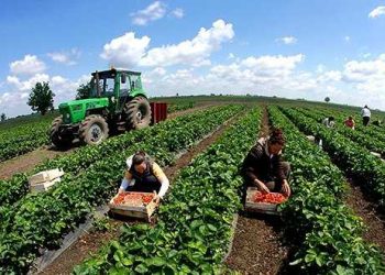 Dokumentet/ Ja si inceneratori i Tiranës merr indirekt 310 mijë euro nga fondet e IPARD