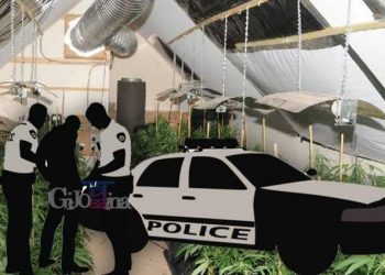 Mafia shqiptare në Britani, Daily Mail: Dhunë e pamëshirshme, emigrantët po nxisin prodhimin e drogës