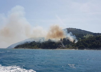 Zjarr mes Komanit dhe Fierzës, era e fortë rrezikon përhapjen e flakëve