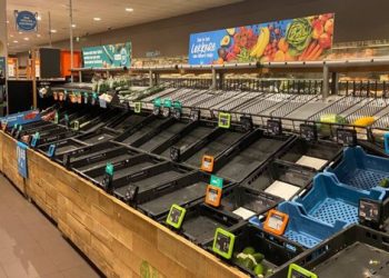 Kriza ushqimore, fermerët në Holandë: Raftet në markete janë bosh (VIDEO­)