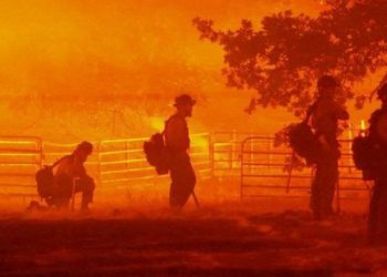 Zjarr i madh pushton vendin, ky shtet shpall gjendjen e jashtëzakonshme