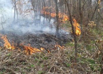 Zjarr në kodrat e Kepit të Rodonit, terreni vështirë pengon zjarrfikësit (VIDEO)
