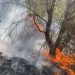 Video/ Flakët përfshinë Karaburunin, era përhap me shpejtësi zjarrin