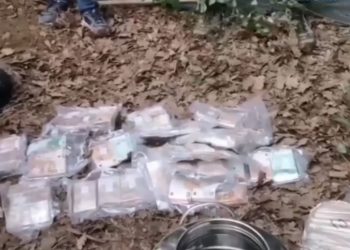 Policia italiane gjen të groposur thesarin e mafies “Ndrangheta”