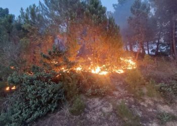 Zjarret në vend, Ministria e Mbrojtjes: 5 vatra aktive, zonat më të rrezikuara