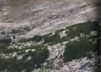 Mot “i çmendur” në Shqipëri / Një pjesë “digjet” nga i nxehti afrikan, zona të tjera “pushtohen” nga breshëri