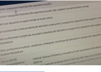 E-albania ende jashtë funksionit/ QKB pa shërbim, si rrezikojnë të gjobiten bizneset