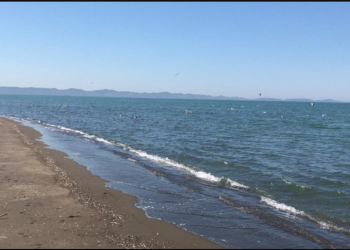 Pushimet iu kthyen në tragjedi, si humbi jetën i riu nga Kosova në plazhin e Tales