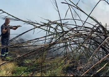 Shqipëria “luftë” me flakët”, zjarri shkrumbon serat në Roskovec