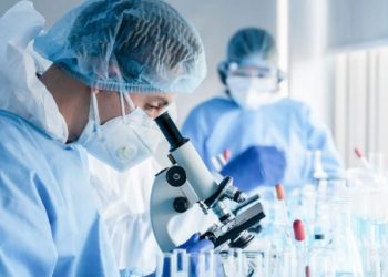 Lija e majmunit, OBSH: Evropa mund të përballet me një rritje të numrit të viktimave