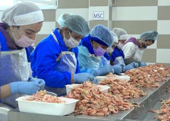 Biznesmeni Gjergj Luca reklamon kompaninë, të mitur që punojnë në fabrikë me karkaleca (VIDEO)