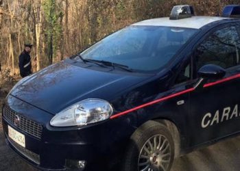 Shisnin “mall” në pyll, policia italiane i vihet nën hetim grupit shqiptar