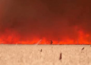 Tentoi të shpëtonte të mbjellat nga flakët, burri rrezikon jetën (VIDEO)