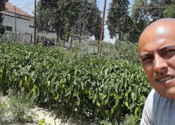 “Toka shqiptare e bekuar”, I dënuari përjetë tregon të mbjellat në burg (FOTO)