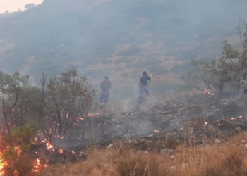 Shqipëria “luftë” me flakët, ndizet një vatër zjarri në Tragjas të Vlorës