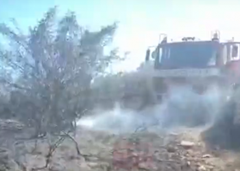 “Skuqet vendi”, zjarr në Finiq të Sarandës, digjen pemë e vreshta