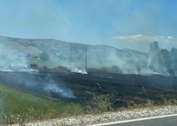 Zjarr në Memaliaj, digjen rreth 2 hektarë tokë bujqësore dhe kullota