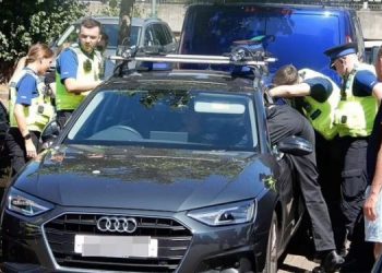 Temperatura përvëluese/ Shoferi lë qenin në makinë, ndërhyn policia për ta shpëtuar