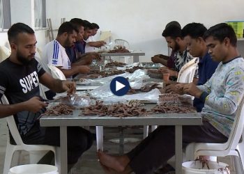 Fasoneria hedh sytë nga punëtorët e huaj, Shqipëria “trampolinë” për të ikur drejt Evropës