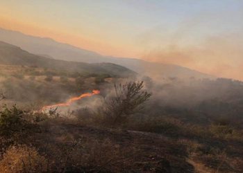 Zjarr masiv në pyllin e “Liqenit të Zi” në Belsh, shkrumbohen 15 ha sipërfaqe bimore