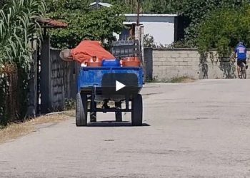 Në mes të vapës/ Fshati Belinë ngelet pa ujë, banorët: Askush nuk interesohet