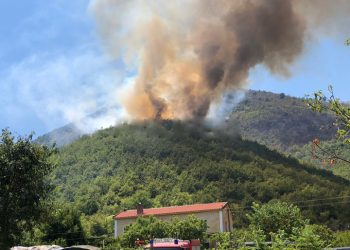 E tmerrshme/ Del jashtë kontrollit zjarri në Bërzanë të Lezhës, flakët iu afrohen banesave