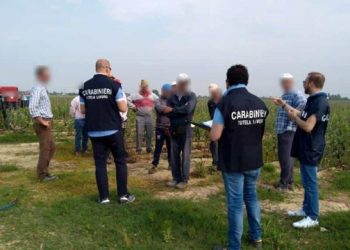 E rëndë/ Pas 20-vjeçarit shqiptar vdes dhe një tjetër fermer në Itali