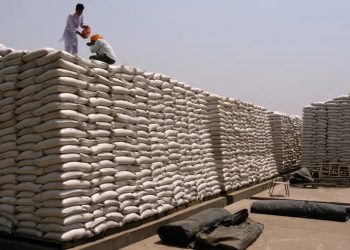 Lufta ul me 60% volumin e importeve nga Rusia në Shqipëri