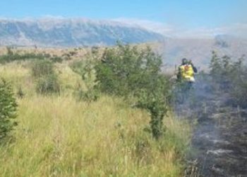 Zjarr në Rubjekë të Maminasit, rrezikohen disa banesa