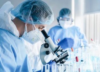 OBSH paralajmëron për lijën e majmunëve, kini kujdes me kontaktet…