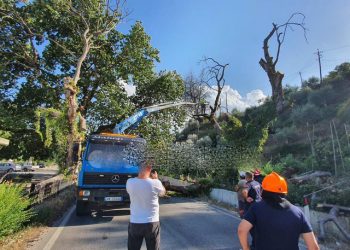 Rrapit shekullor i thyhet dega, dëmtohen xhamat e makinave të parkuara