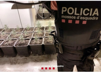 Çmontohet mafia shqiptare në Spanjë, 14 në pranga, si ra në gjurmët e tyre policia