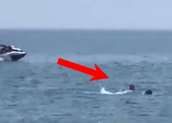 “Mafia luan me skafe”/ Vëzhgimi, mjetet lundruese manovra të rrezikshme pranë plazhistëve