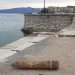 Gjendet një predhë ushtarake në plazhin e Prevezës