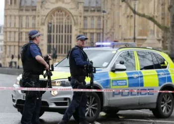 Tragjike/ Masakron gruan dhe i vë flakën shtëpisë me foshnjën brenda