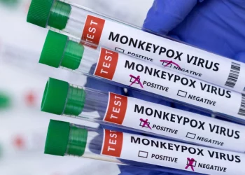 Lija e majmunit i afrohet Shqipërisë, ky vend i Ballkanit regjistron rastin e parë