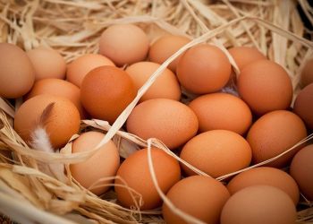 Importet e vezëve rriten me 25 herë, për herë të parë pas 6 vitesh