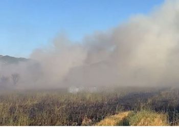  Zjarr Lezhë, rrezikohen disa banesa në fshat