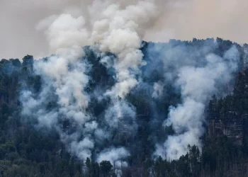 Zjarr në fshatin Peshkëpi, rrezikohen disa banesa