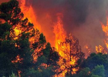 Zjarri në Krujë, digjen deri në 70 hektarë tokë