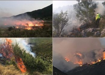 Zjarr masiv te “Uji i ftohtë” në Vlorë, drejt vendngjarjes nisen 2 zjarrfikëse