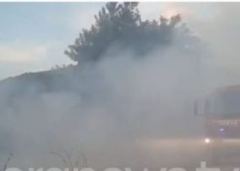 Ishin shkaktarë të zjarrit që dogji dhjetëra hektarë, prangosen 3 persona në Berat