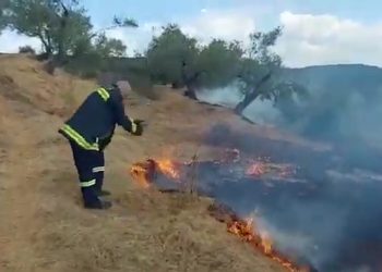 Alarmante/ Vijon zjarri në Babicë të Vlorës, dëmtohen kabllot e energjisë elektrike