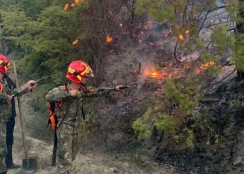 Rrezikon të digjet nga zjarri, zona e mbrojtur e pyllit të Bahollit në Poliçan