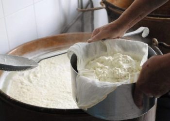 Produktet me origjinë shqiptare do të mbrohen me ligj, i pari në listë futet djathi i Kelmendit