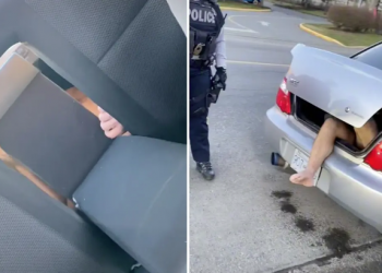 Fshehu 17-vjeçaren në bagazh, arrestohet 23-vjeçari banues në Londër (EMRI)