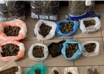 Kishin kthyer banesën në magazinë hashashi, në pranga shqiptari, e pëson dhe bashkëpunëtori grek