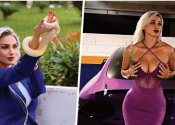 “Gazetarë të degjeneruar”/ Vrasja në Elbasan, policja e famshme me gjarpër u del në mbrojtje kolegëve