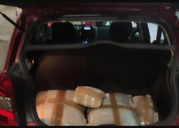 “Koka” e grupit ishte një shqiptar, trafikantët e drogës bien në pranga pas “vizitës” së policisë