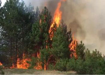 Reshjet e shiut shuajnë zjarret në vend, Emergjencat Civile: Kjo është vatra e vetme aktive